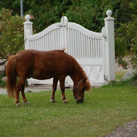 Ostseepferdehof Neukirchen  Eksteriør bilde