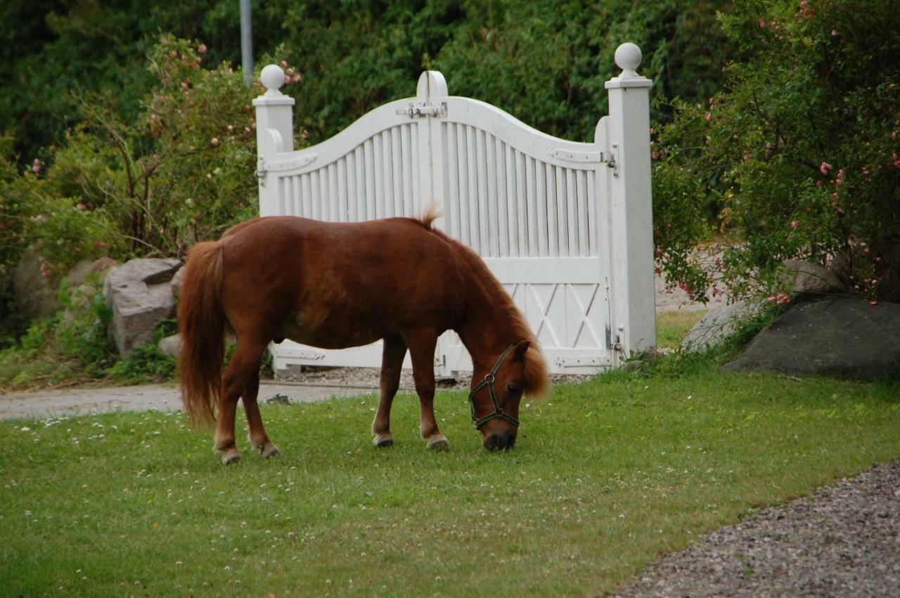 Ostseepferdehof Neukirchen  Eksteriør bilde